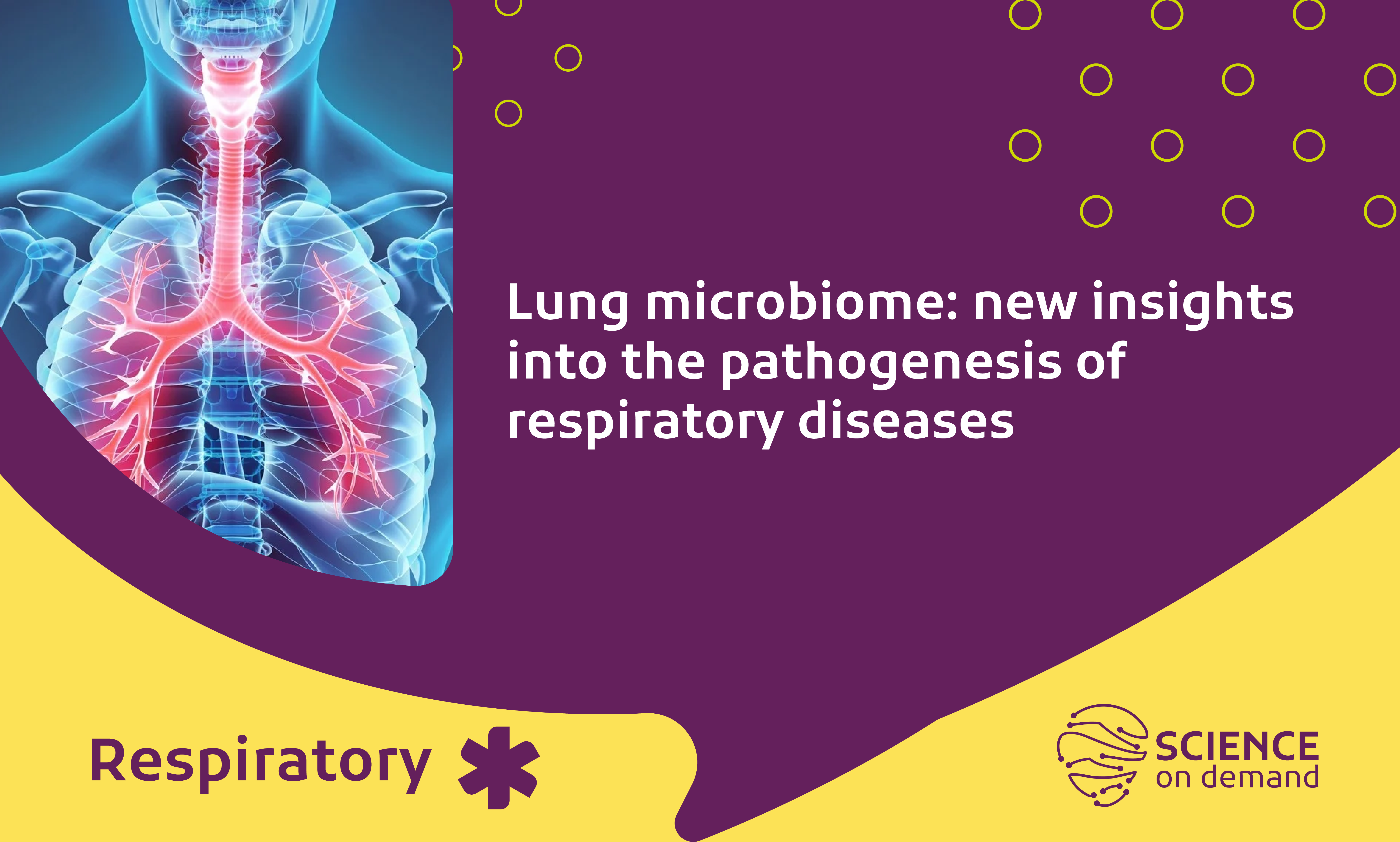 Lung microbiome: new insights into the pathogenesis of respiratory diseases