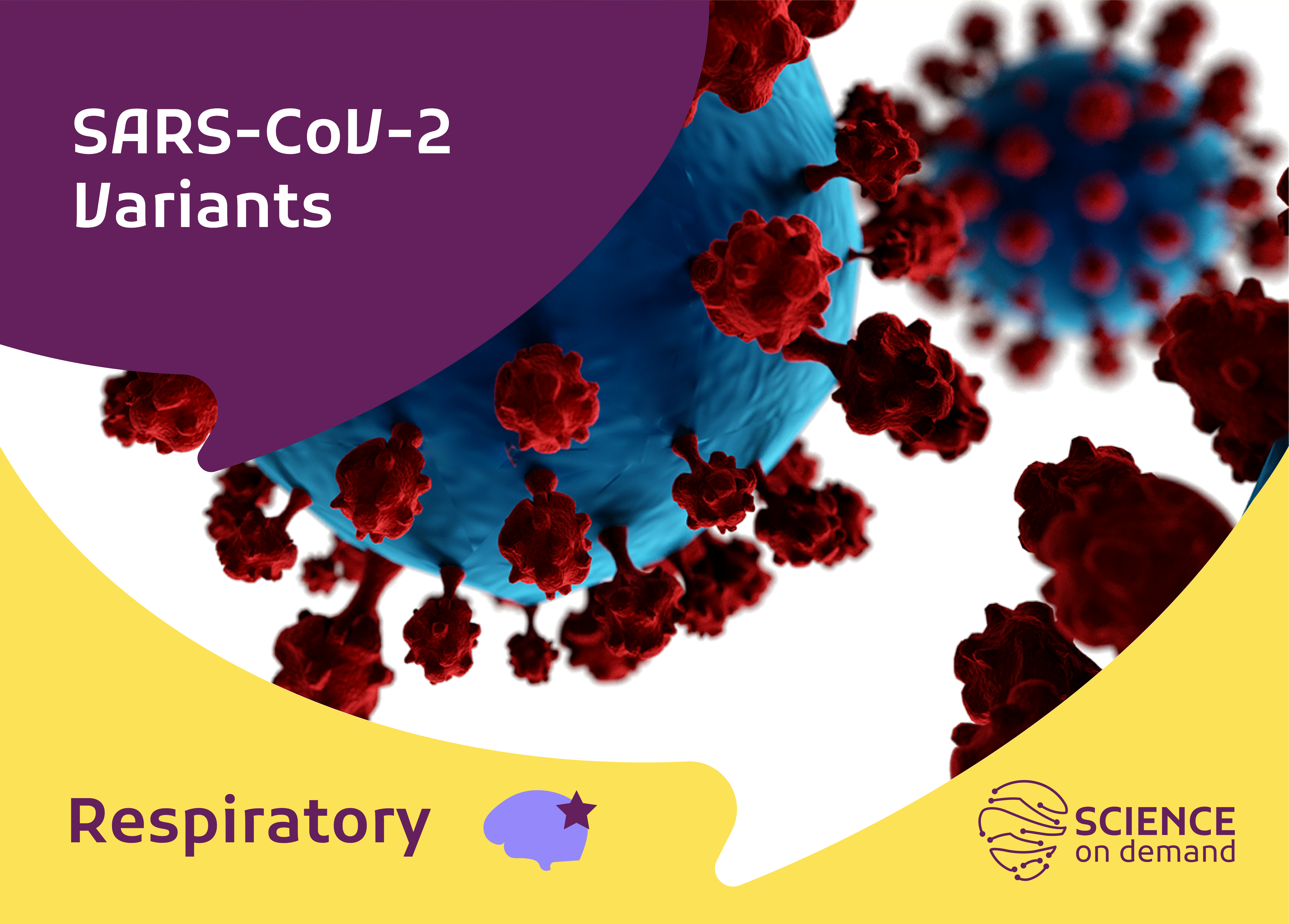 Conventional and Novel Diagnostic Tools for the Diagnosis of Emerging SARS-CoV-2 Variants